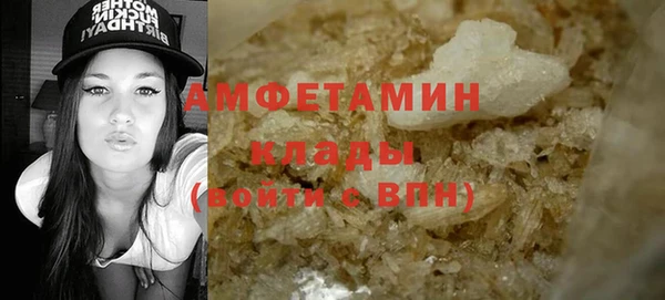 шишки Долгопрудный