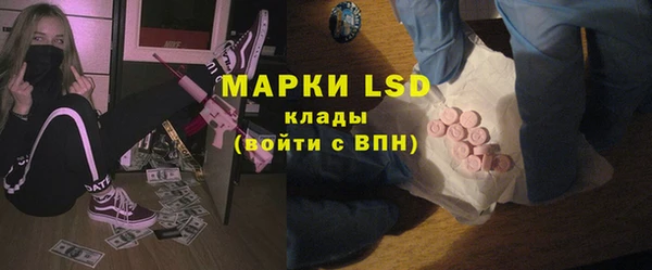 гидра Коряжма