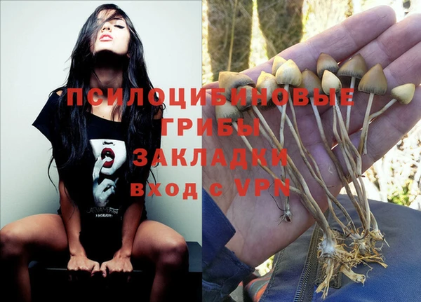 MESCALINE Кодинск