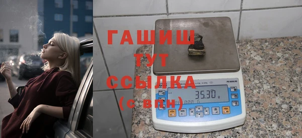 гидра Коряжма