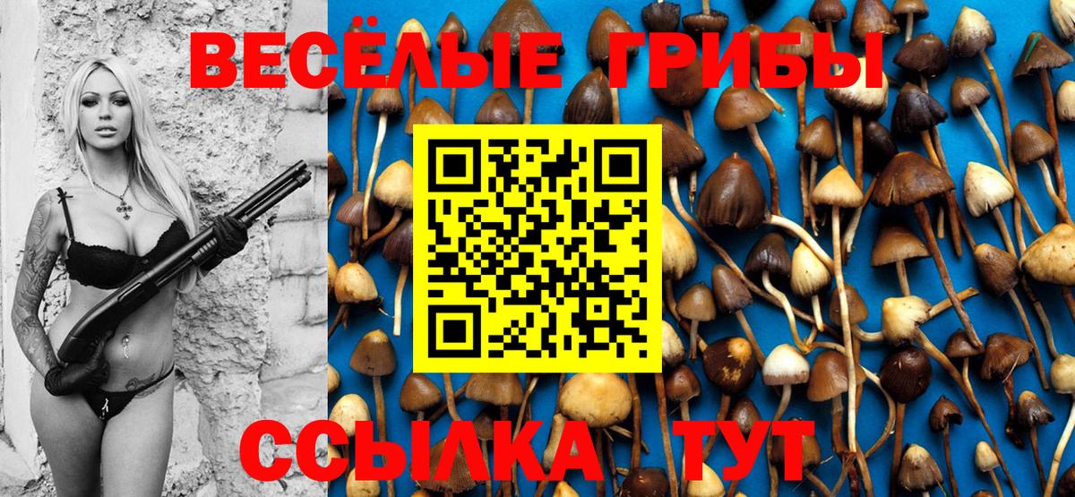 Галлюциногенные грибы GOLDEN TEACHER Краснознаменск