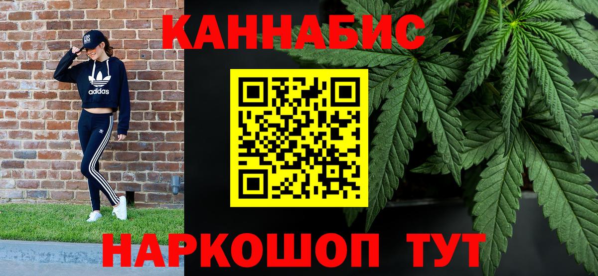 Краснознаменск  Бошки марихуана индика  Канабис планчик  Вход с VPN  Канабис OG Kush 